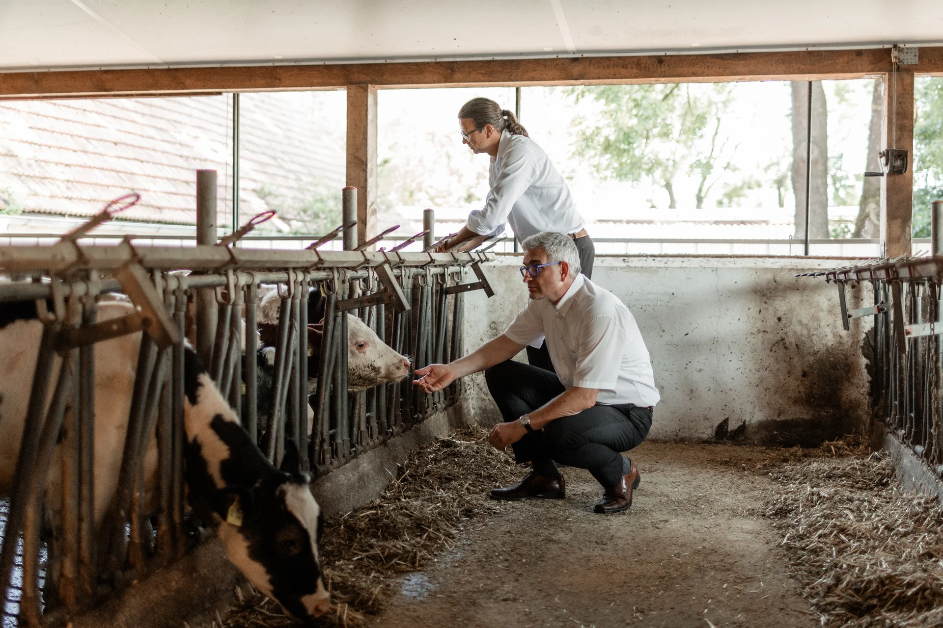 Berater im Kuhstall — praxisnahe Betriebsentwicklung