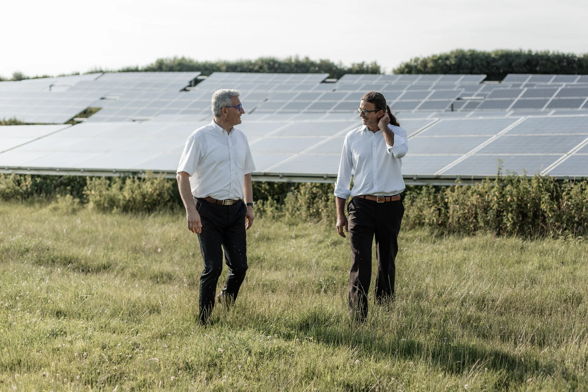 Landwirtschaftliche Landschaft